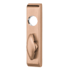 Picture of Von Duprin 376T Thumbturn Control Trim