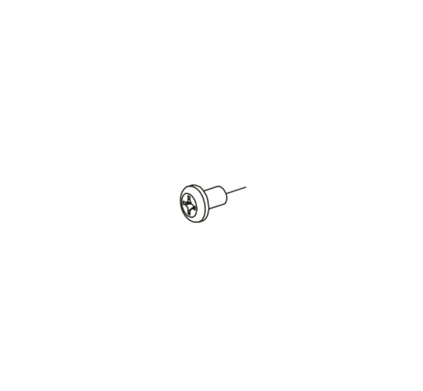Picture of 900610,  88 Rim Latch Retainer Plate Screw Pkg/10