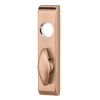 Picture of 360T Grade 1 Thumbturn Trim, Classroom Function