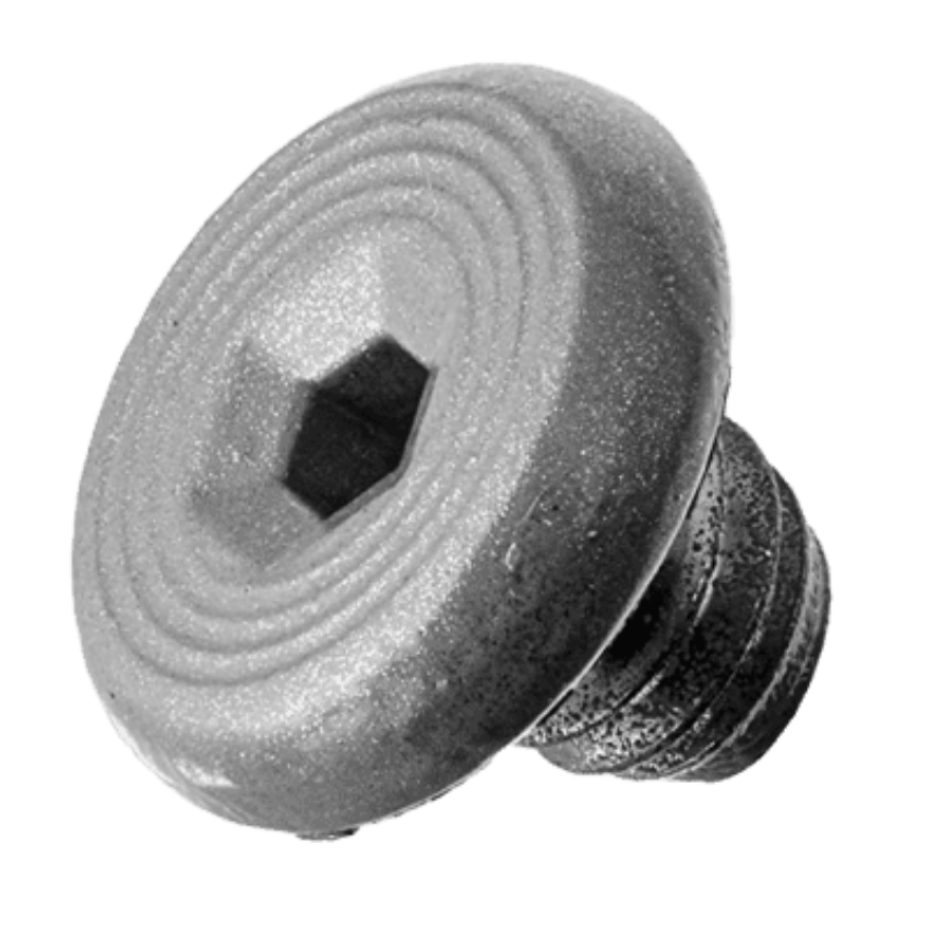 Picture of 4040XP-31 Cover Screw