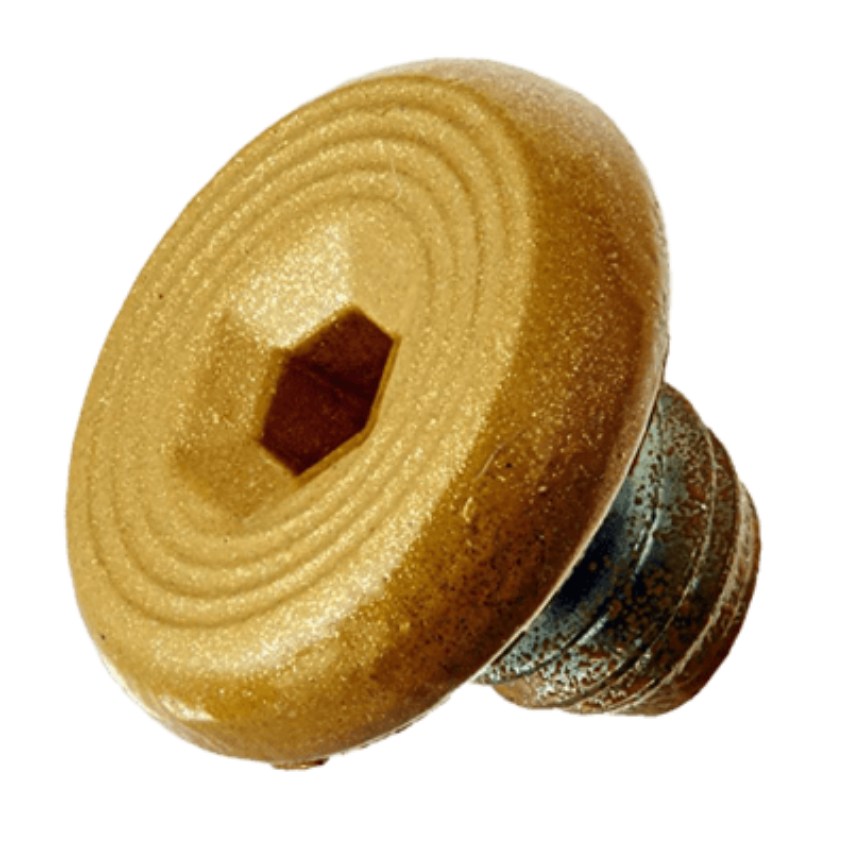 Picture of 4040XP-31 Cover Screw