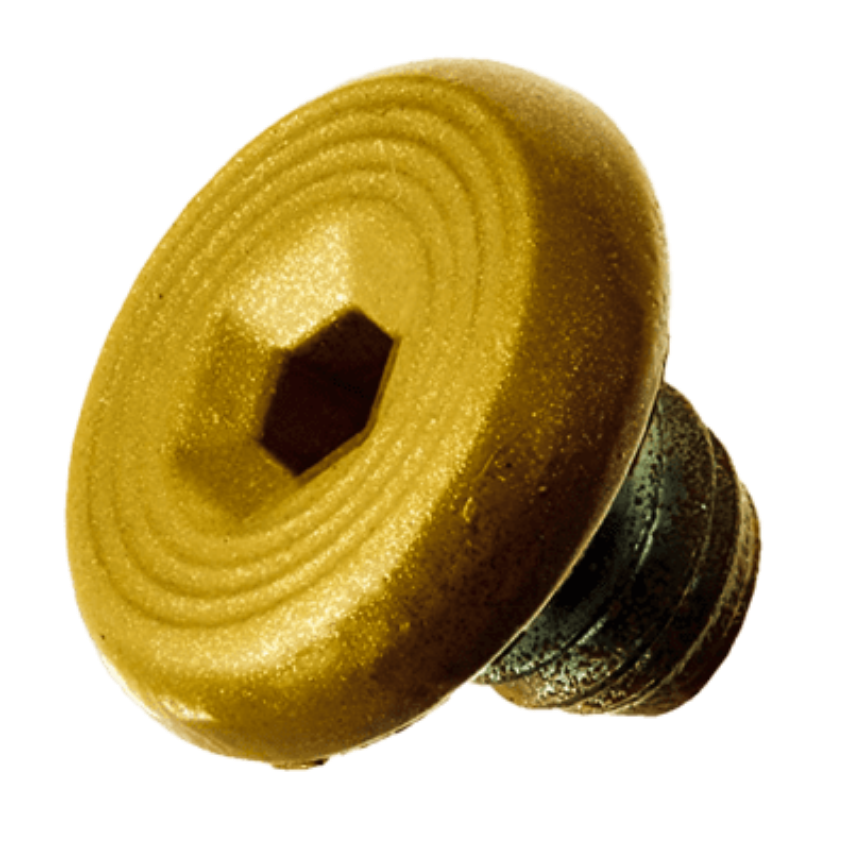 Picture of 4040XP-31 Cover Screw