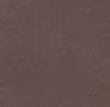 313 - Dark Bronze